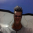 rahulmirakhur's profile image