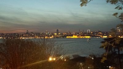 pineaumarion1's profile picture. 