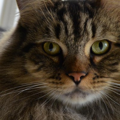 Ridley Jones Ridleyjonesuofm Twitter