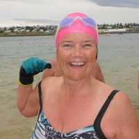 IngiHinriksd (@ingibjhin) 's Twitter Profile