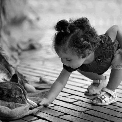 فتاة بأبيها مغرمة ♥ ,,, & صانعة حياة وأفتخر ♥♥♥
