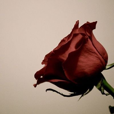 ‏‏‏‏‏..  ي خــالــق الجنه انعمنا بدخولـها  ..