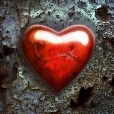 spikiehog's profile picture. 