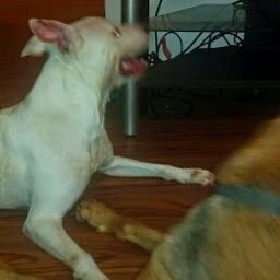 Distraction56k's profile picture. 