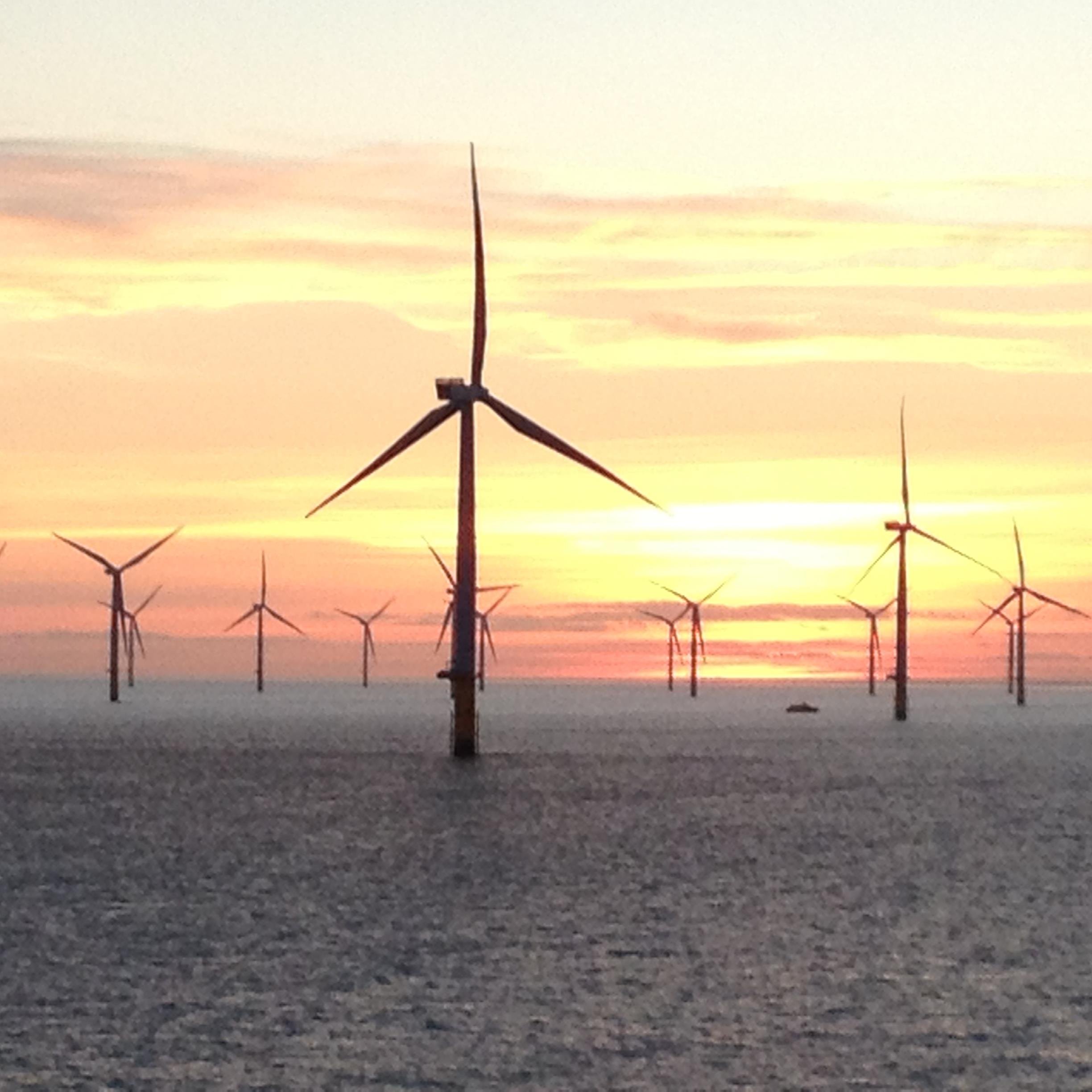 ltd_windpower's profile picture. 