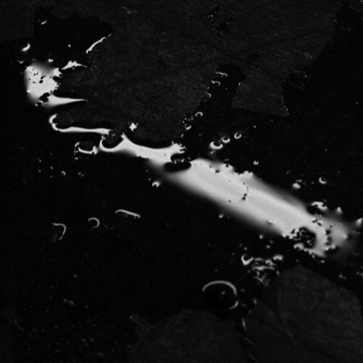 BLXCKLIST's profile picture. fashion - art - anti-humanism