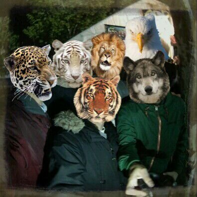 _golfosteam's profile picture. golfeamos porque podemos.