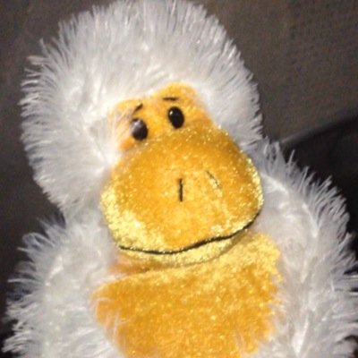 The coolest Monkey to party with: EST 2014, OCMD