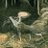 kbergvall's profile image