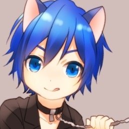 shinyKittenさんのプロフィール画像