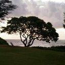 Dr Bailey-Kerr - @DrMbaileykerr - Twitter