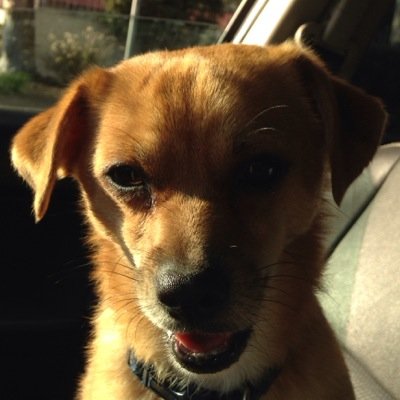 2015Jocelyn's profile picture. 