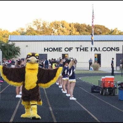 NOT AFFILIATED WITH THE REAL FALCON. GO PARK.