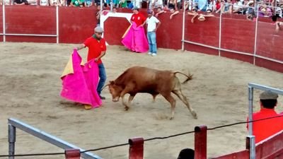 joselecb19's profile picture. El toro el caballo y del Atletico de Madrid
      DE TORRELAGUNA