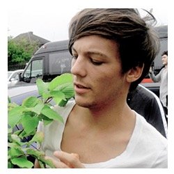 PLEASE FOLLOW @rllylouis_ SHE GAVE YOU THIS FREE FOLLOW!!