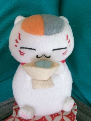 ドリカム応援してます