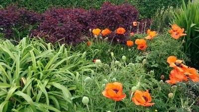 getfitforthirty's profile picture. I've embarked on a health and fitness regime to change my lifestyle by eating clean and exercising hard. Follow me to watch my progress; any tips welcome.