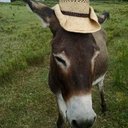 TheGhillieGamer - @justin_coke - Twitter