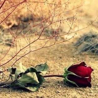 لا اتشرف  بمتابعة  من يعصي الله  
سبحانة جل جلالة