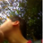 Casteluchi's profile image