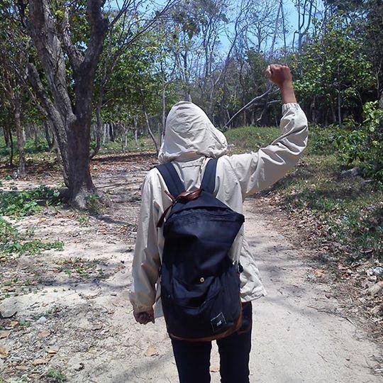 WBAofficial's profile picture. 