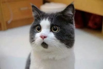 커피가 세상에서 제일 못생김.