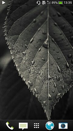 bouchebti28's profile picture. 