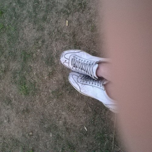 pablosberenguer's profile picture. 