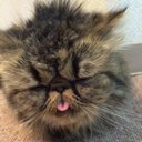 な (@007Nnk) Twitter