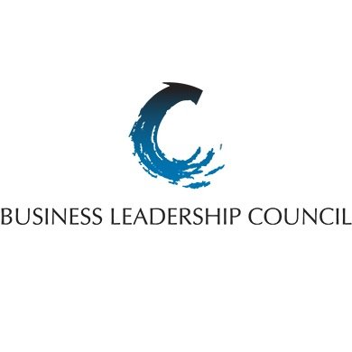 Business Leadership Profile
