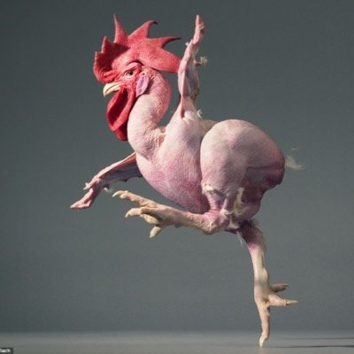 Boiled_Chicken's profile picture. 