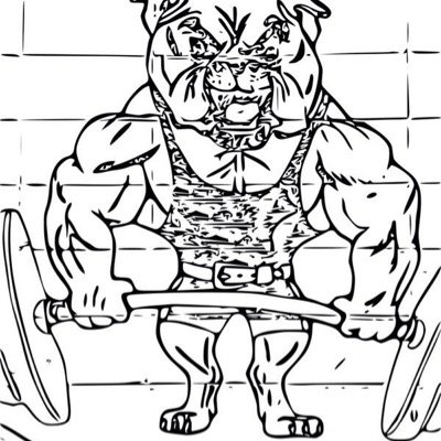 NASM CPT. Strength and Conditioning online training. youtuber, writing weekly thoughts on the iron dog blog...any inquires email irondogs2355@gmail.com