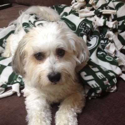 maxwellfour's profile picture. 