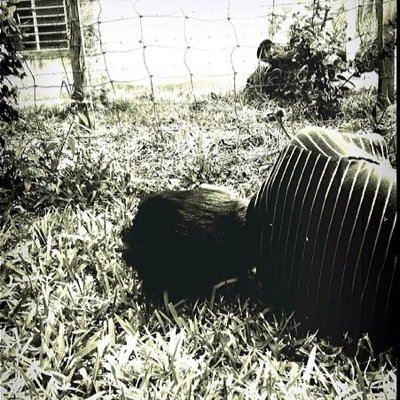 DanielDiazDguez's profile picture. 