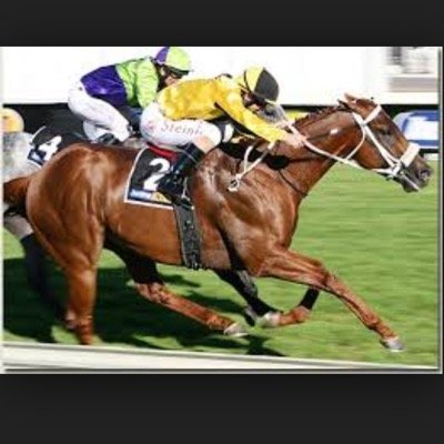 usaracingpicks Profile Picture