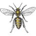 KeepingBackyardBees (@kbbees) Twitter profile photo