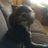 BonnieBpiatt's profile image