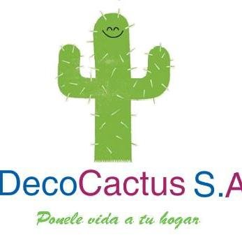 Empresa simulada dedicada a la venta de cactus decorativos ♥