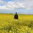 DarrenGrayRural's profile image