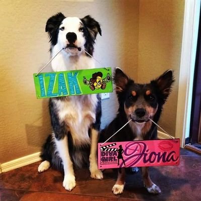 chalkedintime's profile picture. Hand made custom chalk boards, Memorial pieces , murals for any occasion! Weddings, birth announcements, dog crates, kids rooms, birthdays...