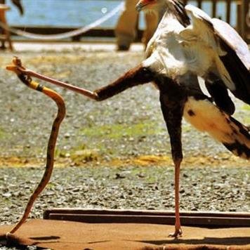 ____0_OO_0____'s profile picture. 