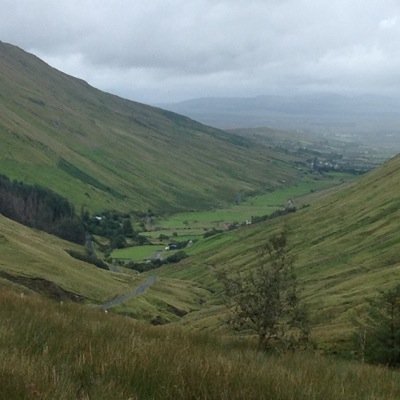 BeemerDoug's profile picture. 