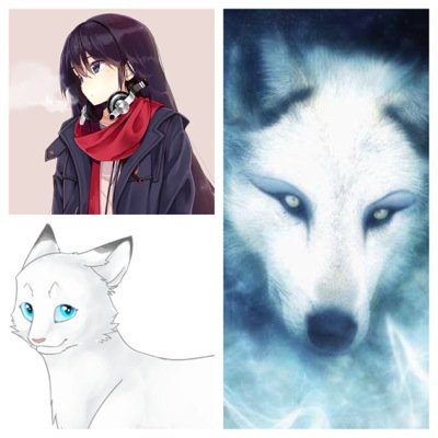 Shapeshifter, single, female. I leave a mark on everyone I meet...you've been warned. /Theme Song: Centuries by Fall Out Boy\
