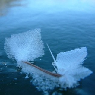 ソーダ水