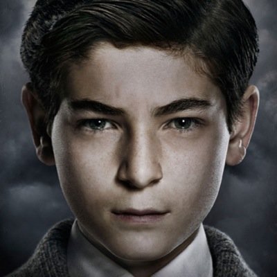Hello I'm Bruce Wayne my parents are Martha and Thomas Wayne my best friend Alfred