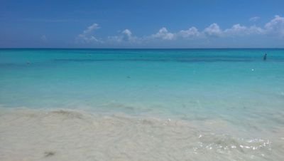 thawkins2045's profile picture. 