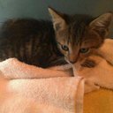 Beth Patterson - @EjpattersonBeth - Twitter