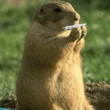 Just the shit we say when we're high.