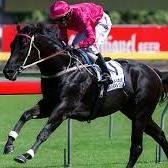 ProMugPunter's profile picture. I love horse racing and punting, but unfortunately for all bookies, I'm not the stereotypical drunk mug punter they show in all their ads