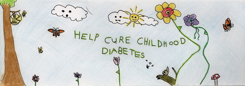A parent-led group funding the best type 1 diabetes research.